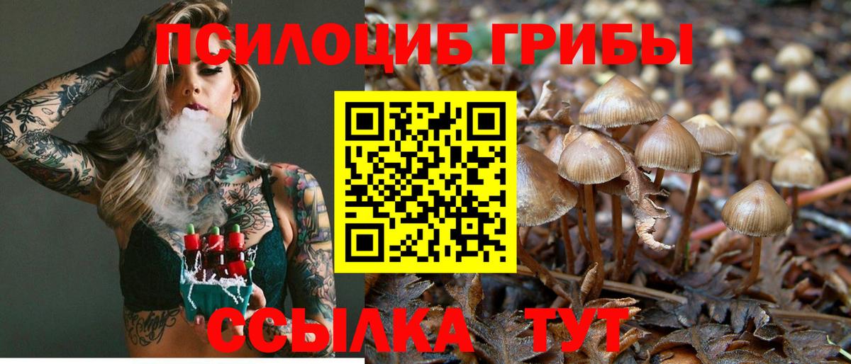 Партизанск  Галлюциногенные грибы Cubensis  Вход с VPN  Псилоцибиновые грибы мухоморы 
